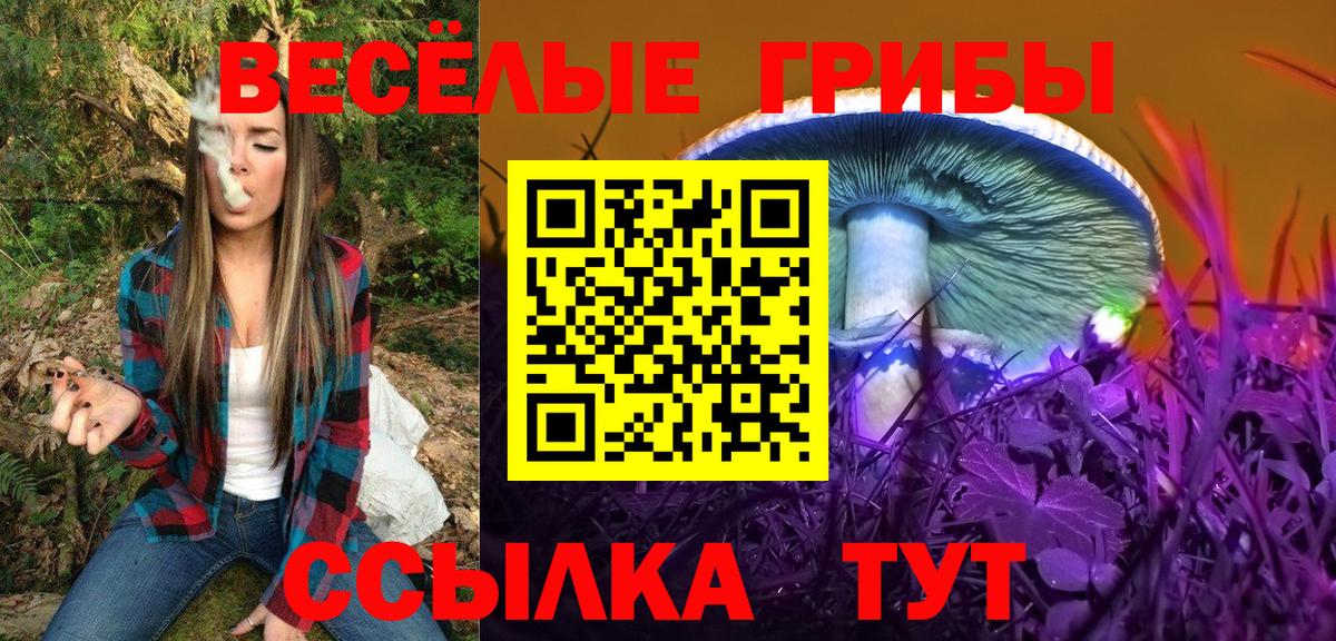 Псилоцибиновые грибы GOLDEN TEACHER Сунжа