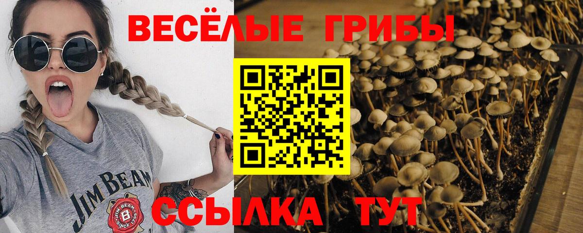 Галлюциногенные грибы мухоморы  Вход с VPN  Сунжа 
