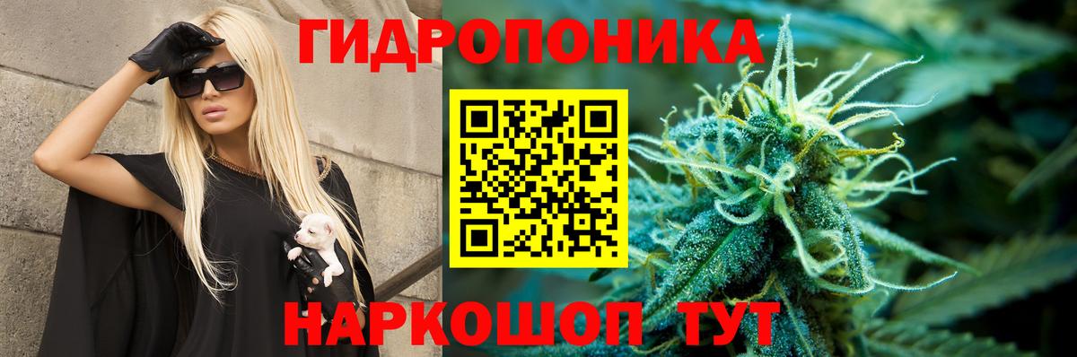 МАРИХУАНА Amnesia  МАРИХУАНА Ganja  Сунжа  Вход с VPN 
